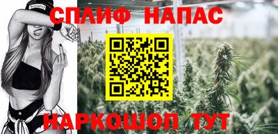 крисы Сланцы